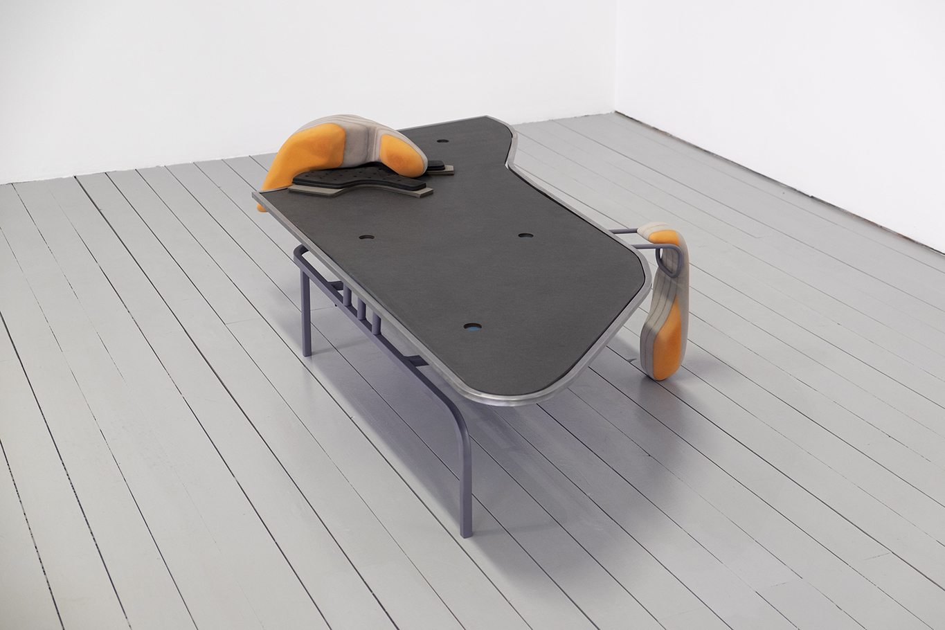 Carina Emery - Sensory Cells (Leg Anchored), 2021